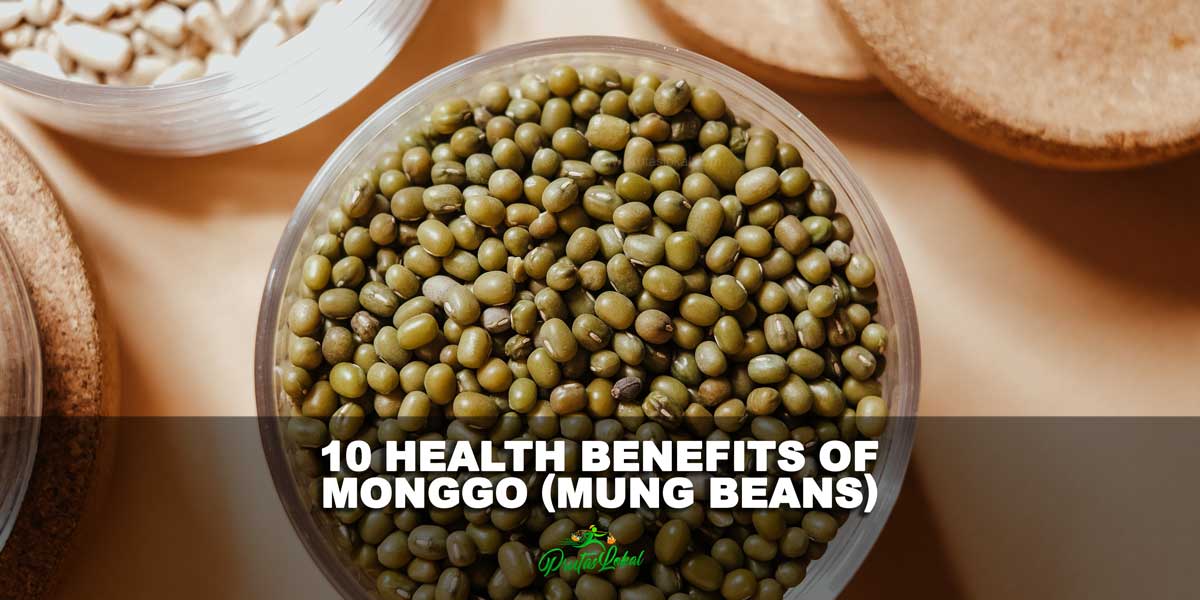 Top 10 Health Benefits ng Monggo