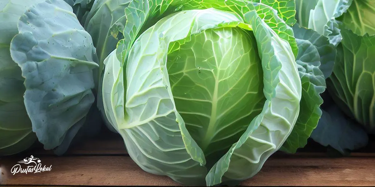 Repolyo (Cabbage): Mga Nakakabilib na Benepisyo sa Kalusugan
