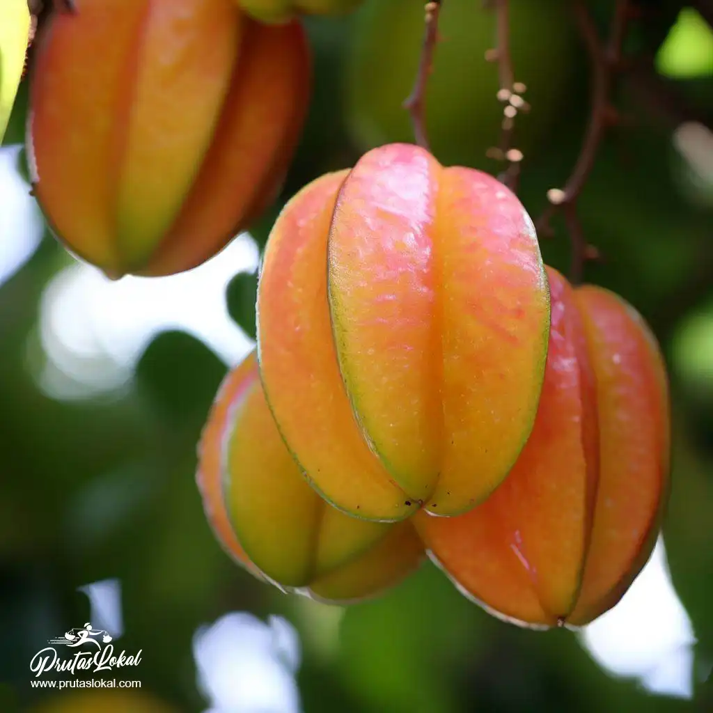balimbing health benefits 08