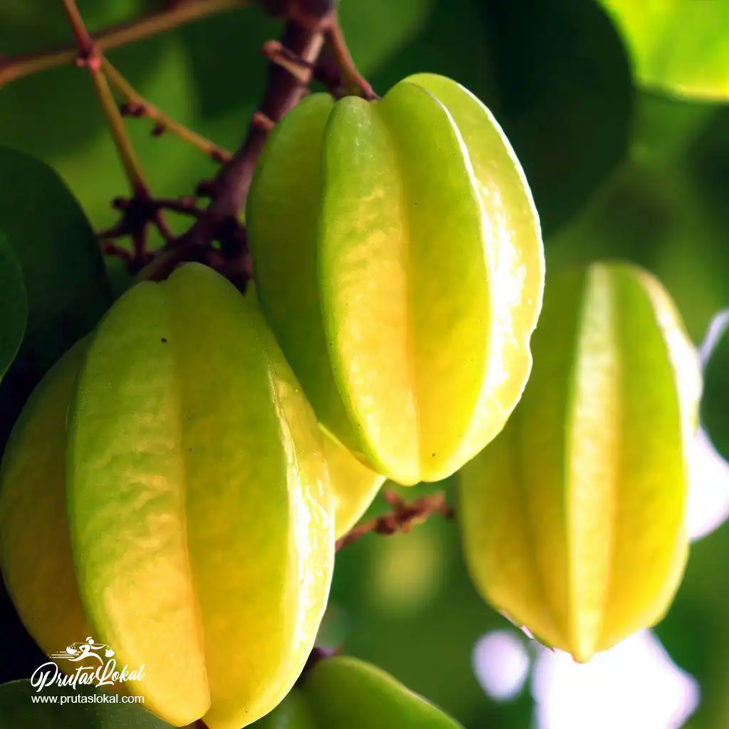 balimbing health benefits 09
