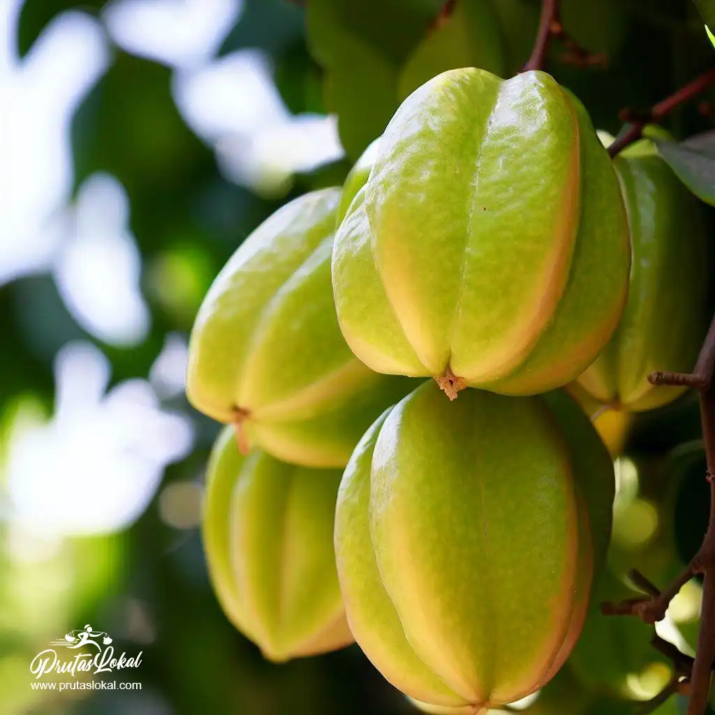balimbing health benefits 10