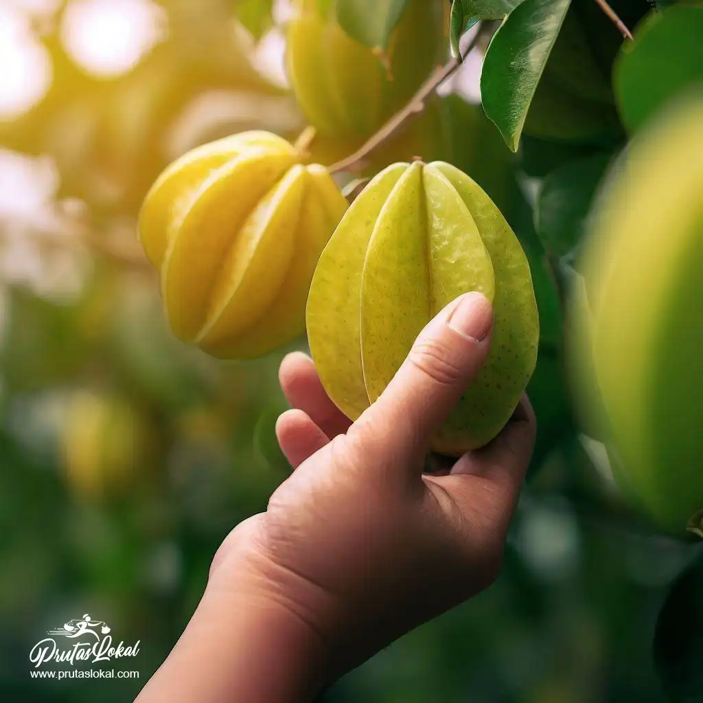 balimbing health benefits 12