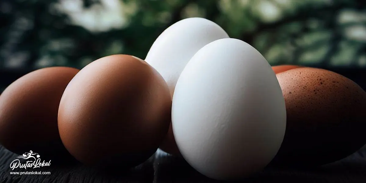 Ano Ang Mas Masustansya Brown Egg o White Egg