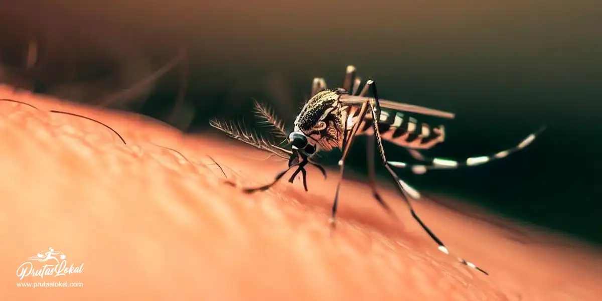 13 Prutas na Mabisang Panlaban sa Dengue. Alamin!