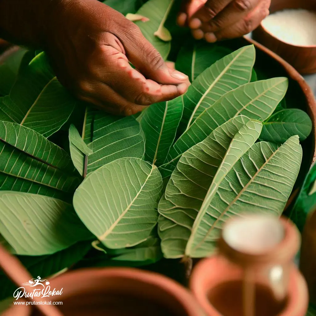 guava leaves for medicine health benefits 06