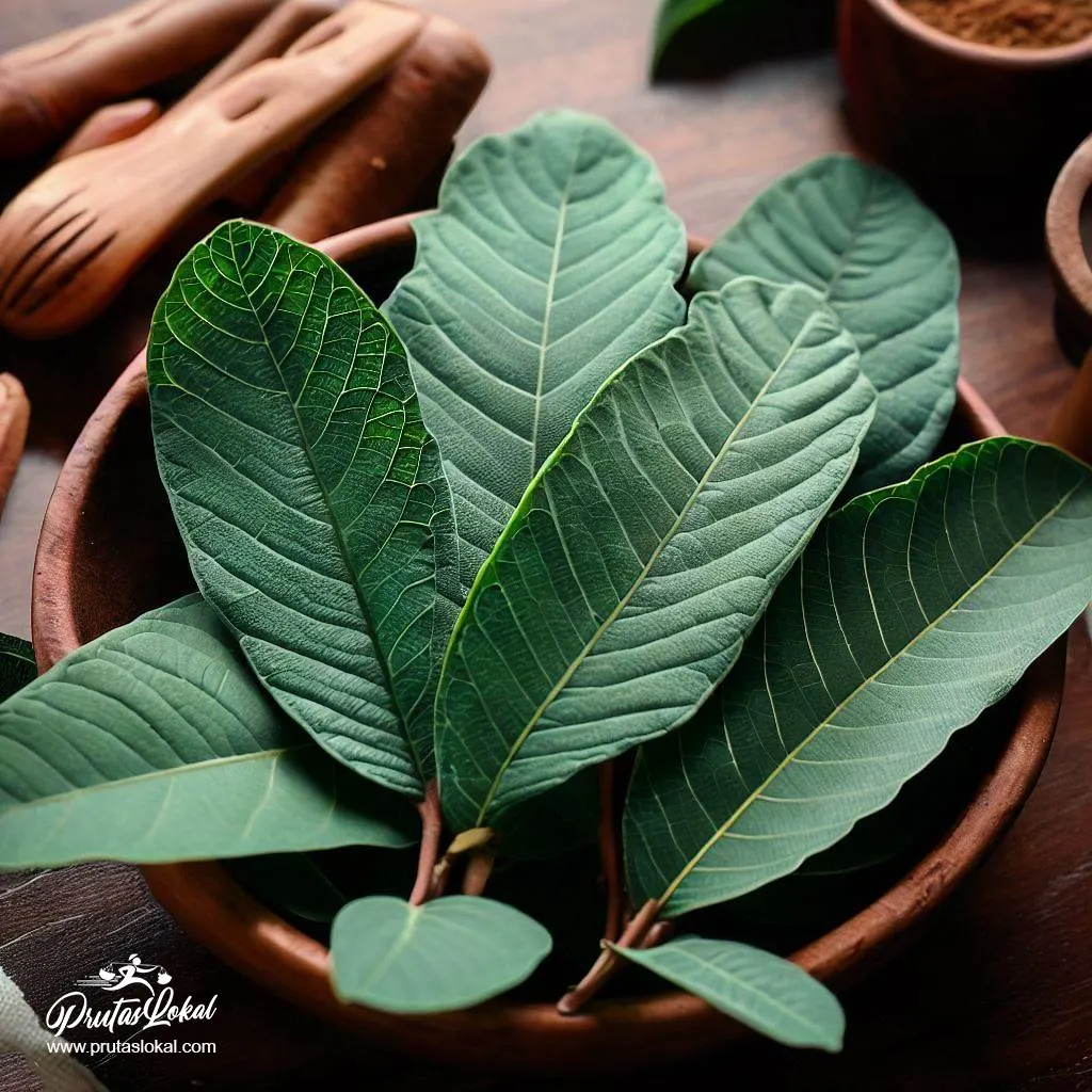 guava leaves for medicine health benefits 07