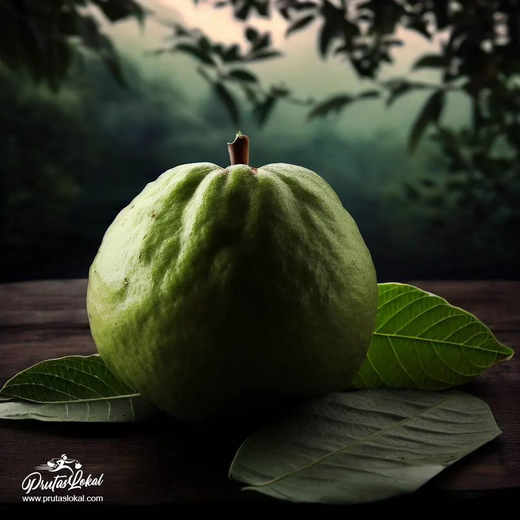 guava leaves for medicine health benefits 08