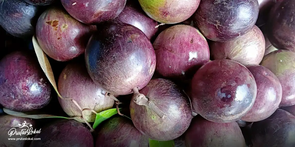 Caimito (Star Apple): Mga Nakakabilib na Health Benefits.