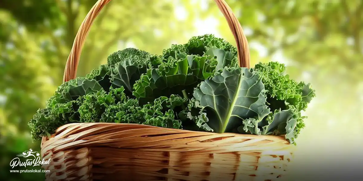 Kale: Mga Nakakabilib na Benepisyo sa Kalusugan