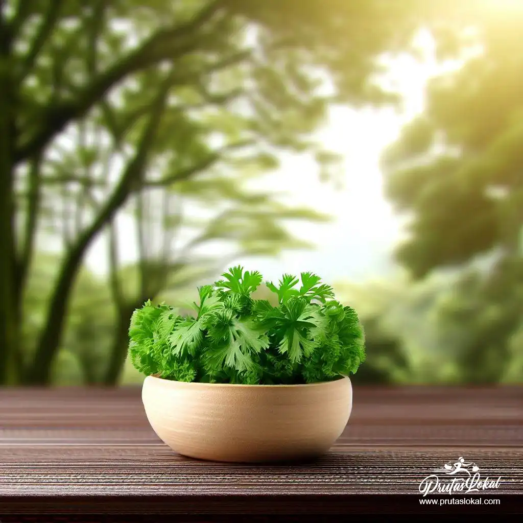 health benefits kinchay parsley cilantro 03