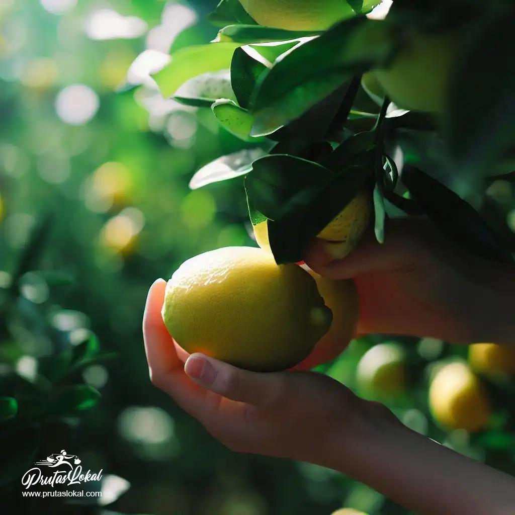 health benefits lemon 10