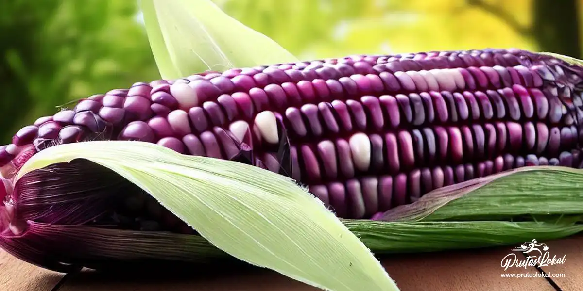 Organic Purple Corn: Mga Nakakamangha na Health Benefits.