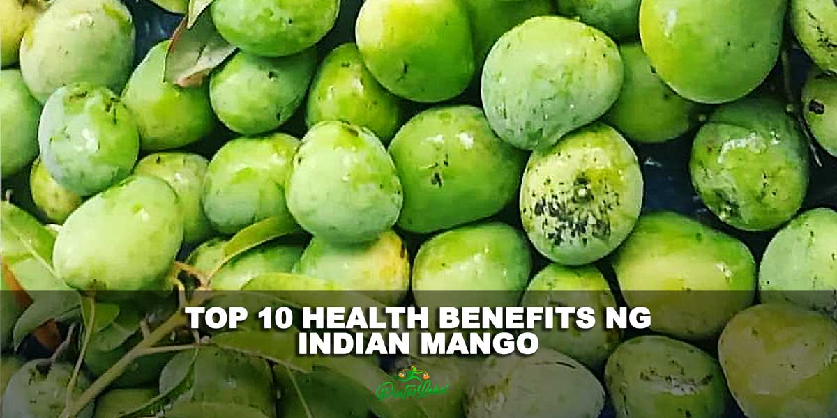 Top 10 Health Benefits ng Indian Mango