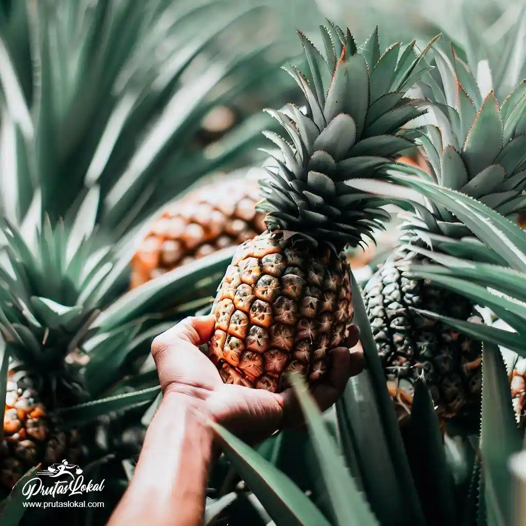 pineapple health benefits 10