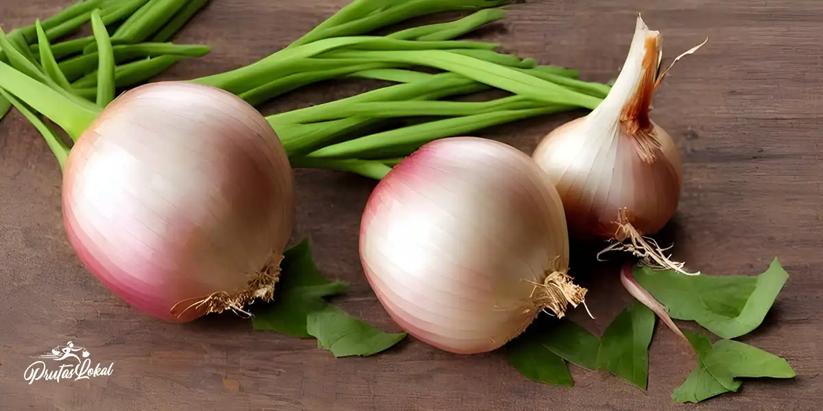 6 Benepisyo Sa Kalusugan Ng Sibuyas (Onion)