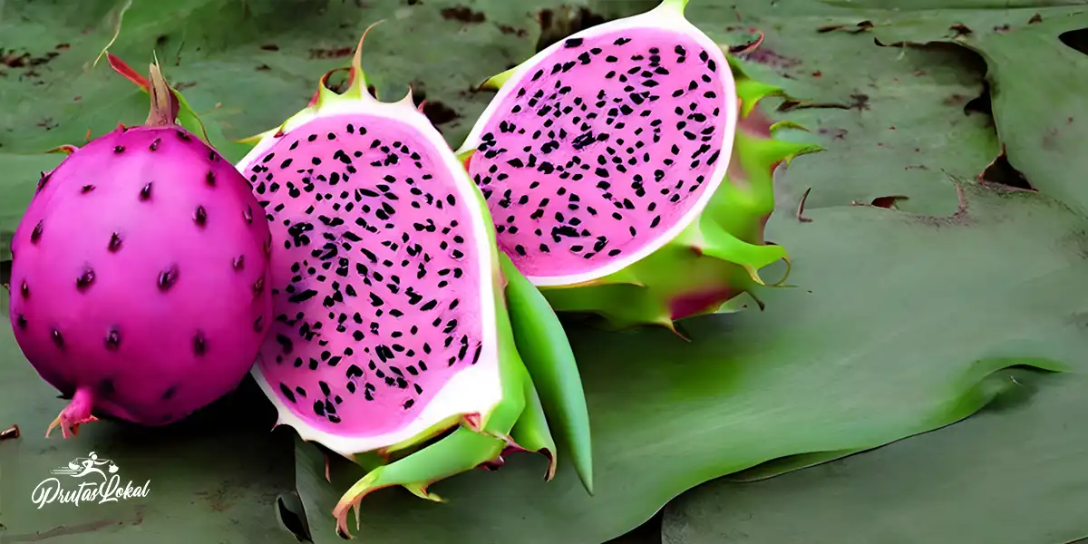 Top 10 Health Benefits at Nutrition Dragon Fruit o Granada